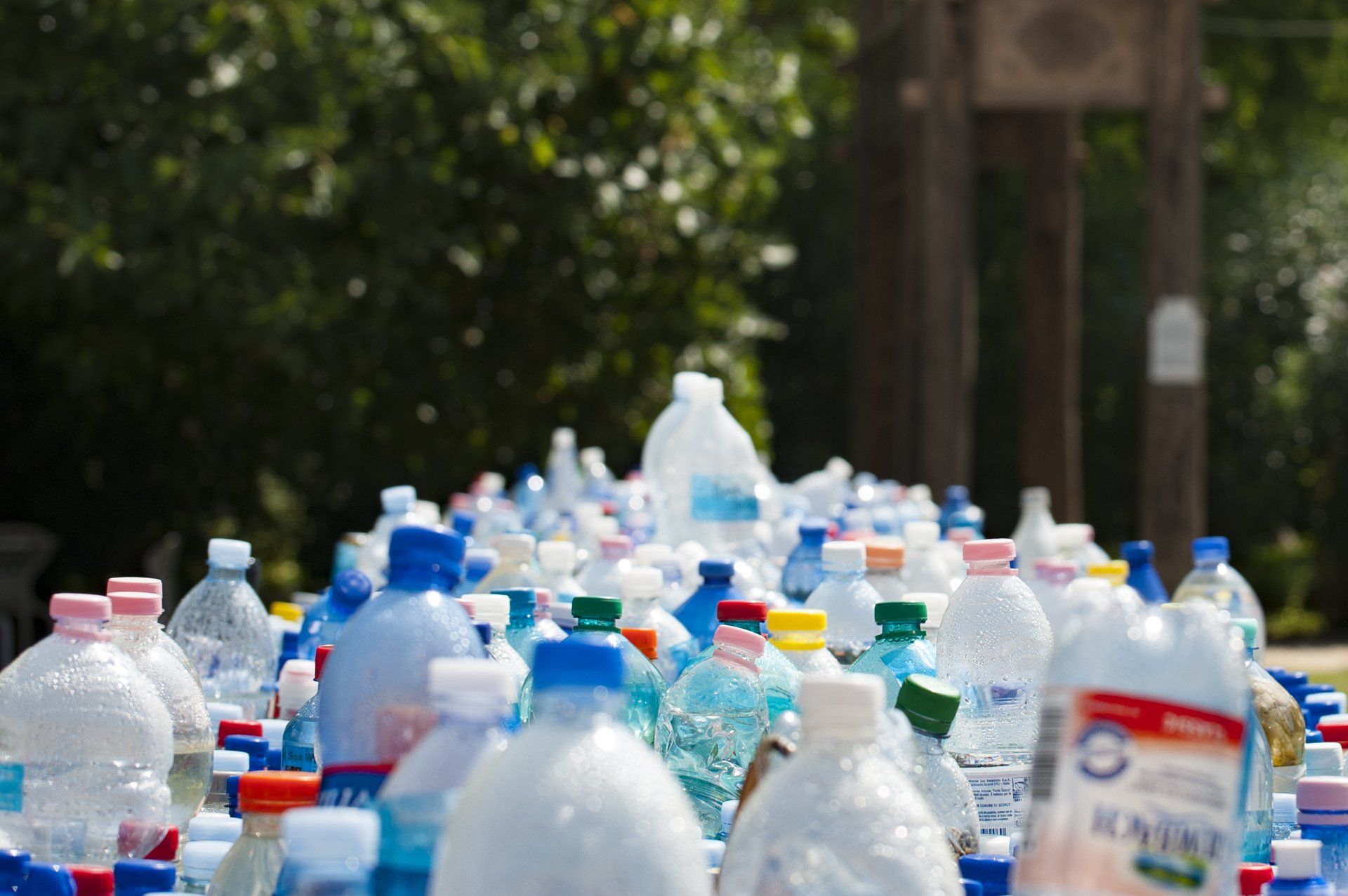 Assorted plastic water bottles and containers lined up outdoors, with trees blurred in the background.